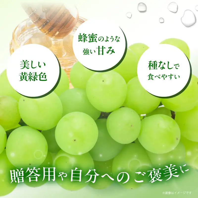 先行予約≪期間限定≫都農町産ハニービーナス(計2kg) ぶどう フルーツ 果物 デザート 国産_T015-0035