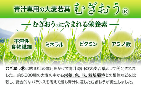 【定期便】緑効青汁 1箱 3.5g×90袋 3ヶ月 定期《お申込み月の翌月から出荷開始》大麦若葉 青汁 むぎおう 使用 健康 ロングセラー