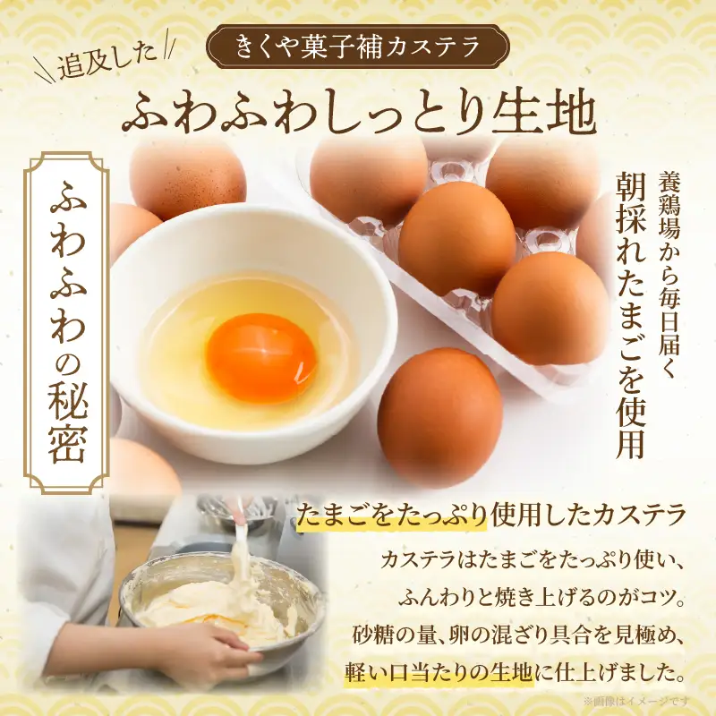 【2週間以内発送】老舗菓子舗のカステラ(大) お菓子 スイーツ 和菓子 本格_T035-0085