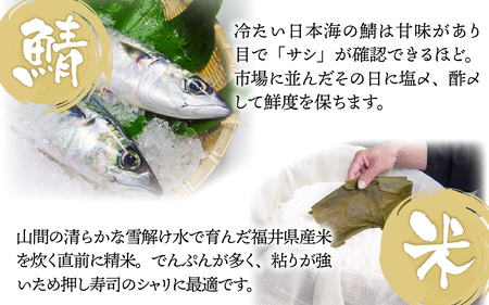 贅沢すぎる！おためしサイズ 生さば寿司[A-013025] / 鯖寿司