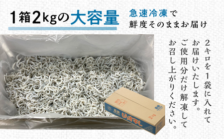 【訳あり】しらす 2kg 無選別 訳あり