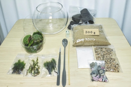 コケテラリウム制作キット直径15cm 動画説明付き〈コケ 苔 こけ 植物 初心者 インテリア 手作り セット キッド 雑貨 日用品〉 