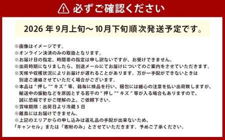岡山県産シャインマスカット（ご家庭用）約1.2kg（2～3房）【2026年9月上旬～10月下旬 発送予定】【シャインマスカット 果物 フルーツ 国産 人気 おすすめ 岡山県 倉敷市】