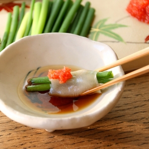 【6回定期便】本場九州の味 とらふぐ刺身8皿セット【001-0459】
