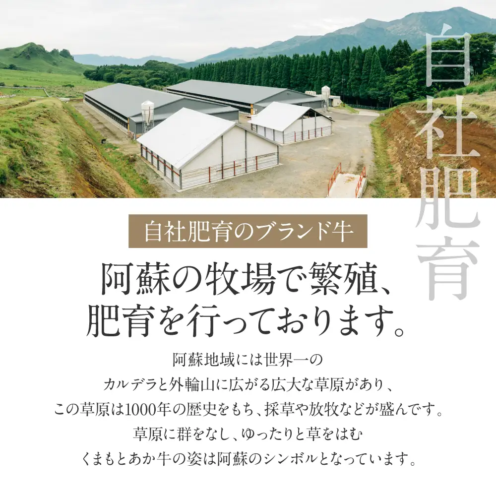 熊本和牛あか牛バラ切り落とし 1kg