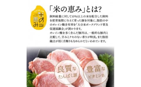 おおいた和牛と米の恵み豚のステーキ対決/計1.12kg _1217R