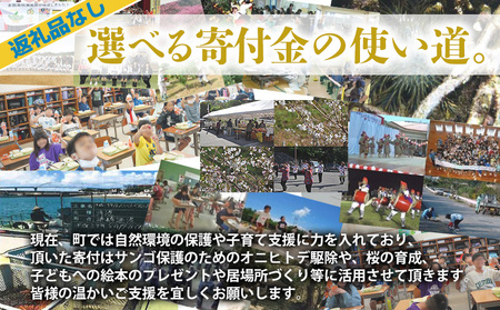 【返礼品なし】沖縄県本部町ふるさと応援寄附金 2000円 寄附のみの応援 寄附のみ 返礼品なし 返礼品無し　御礼品なし　御礼品無し