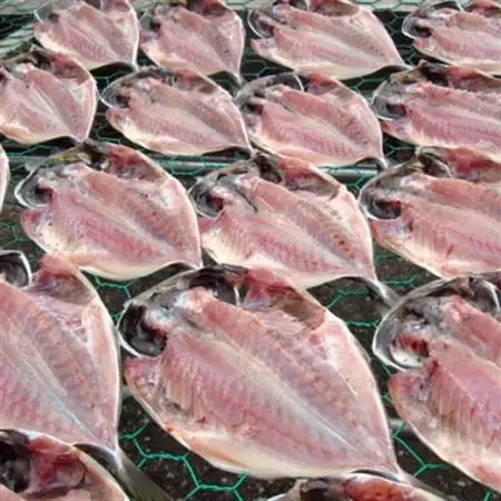 天日干しひもの詰合せ_魚介・海産物  干物 _【配送不可地域：離島】【1125488】