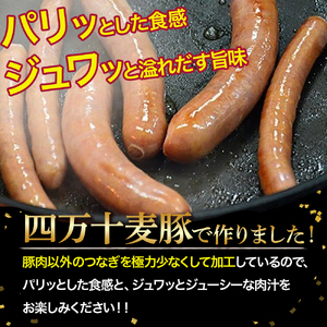 【平野協同畜産】ウインナー計27本 ＆ フランクフルト5本（合計1,250g） 国産 ウインナー ソーセージ／Ahc-02 