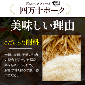 四万十ポーク とろとろチャーシュー セット (約200g×4) 焼豚 焼き豚