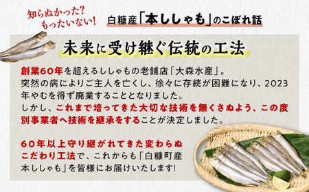 しらぬか産 本ししゃも【20尾（オスメス各10尾）】_A015-1019