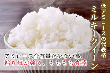 お好みに合わせて精米！ 令和6年産 ミルキークイーン 玄米 約8kg 新米 先行受付 お米 ご飯 米 10000円 一万円