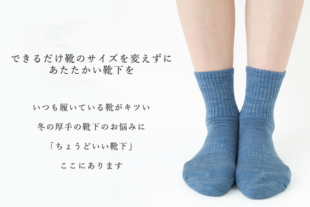 【薄いのにあたたかい！】ウール製足底補強パイルソックス（23-25cm）5足セット【A：ポップなセレクトカラー】 /// くつした 靴下 ソックス 足元 おしゃれ 通年 人気 奈良県 広陵町 温か 温活 日本製 カジュアル