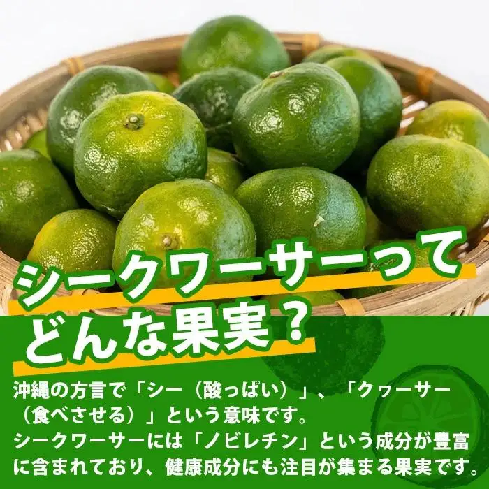 【先行予約】こだわりの青切りシークワーサー 2kg 約60～80個 