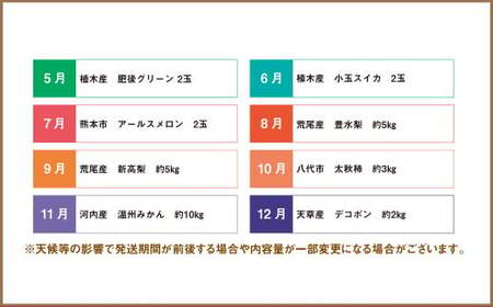 【12ヶ月定期便】熊本県フルーツ 12ヶ月定期便 ｜ フルーツ 果物 くだもの 苺 みかん 金柑 すいか メロン 梨 柿 旬 熊本県産