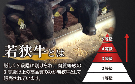 若狭牛A5ランクお試しセット[B-037010]