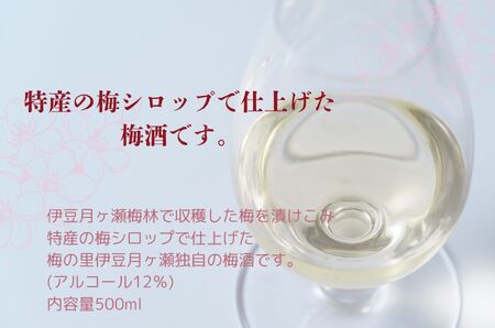 伊豆の月ヶ瀬で人気の梅シロップが今度はお酒になりました！ 伊豆月ヶ瀬の梅でつくった梅酒２本セット