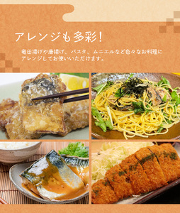 【12ヵ月定期便】骨なし 無添加 塩さば 切身 60g × 20枚 (4枚入り5セット)【tkb323】