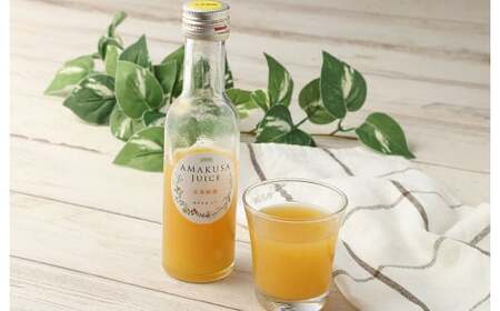 天草のフルーツを使用したジュースとゼリーセット！AMAKUSA JUICE・JELLYセット