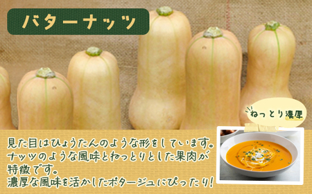 【2026年8月下旬以降順次発送】ミニかぼちゃのセット（4種） 約10kg バターナッツ プッチーニ 北海道 豊浦町産 