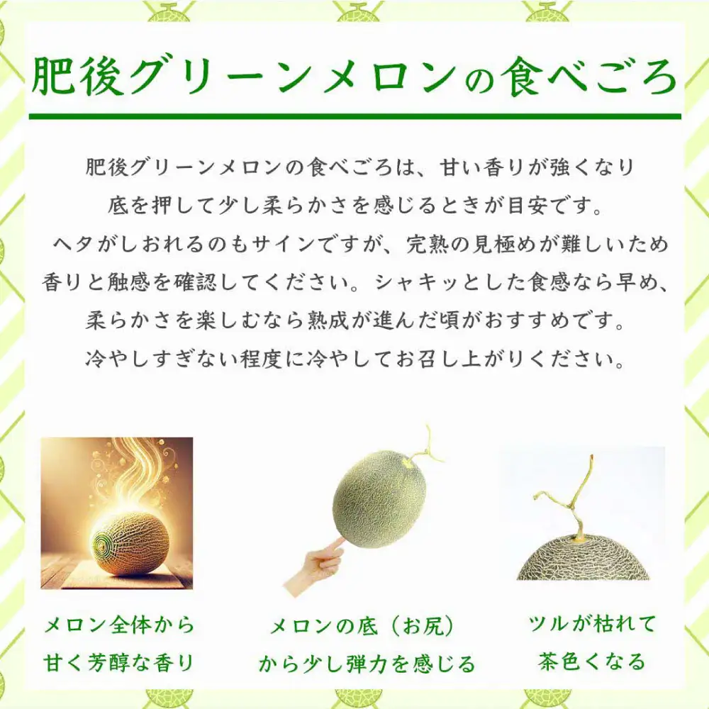 熊本県八代市産 肥後グリーンメロン 4L以上 2玉 約4kg 果物 くだもの フルーツ 肥後グリーン メロン 青肉メロン