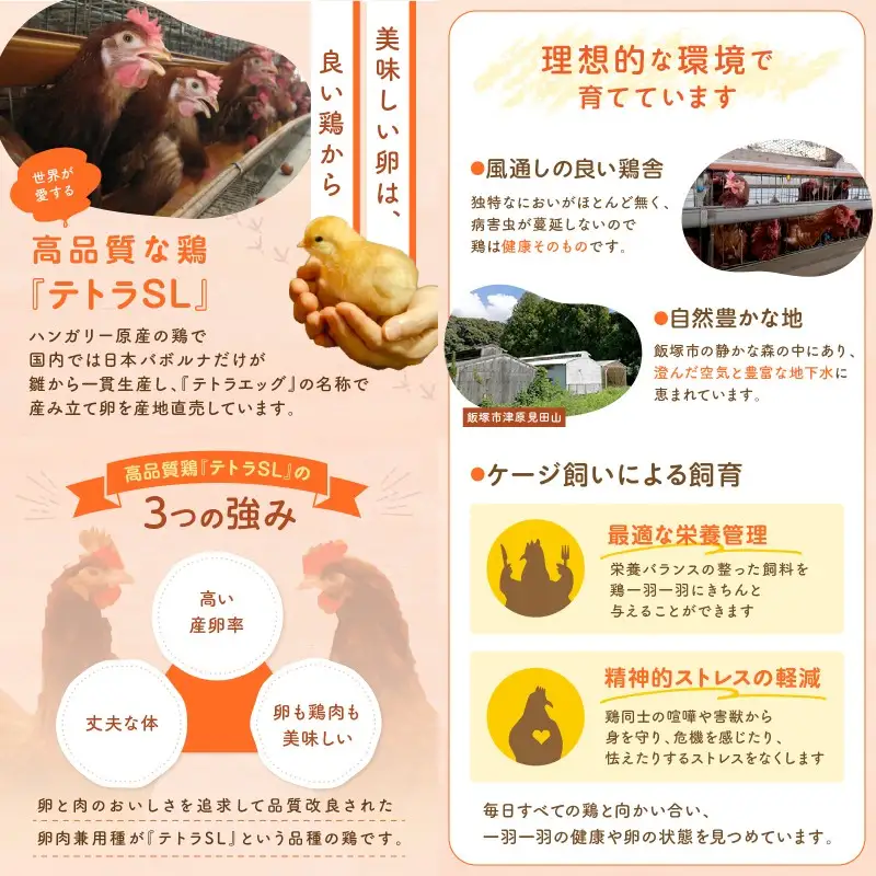 テトラエッグ特選卵『バボルナの宝石』（30個/月）【6カ月定期便】【E7-004】