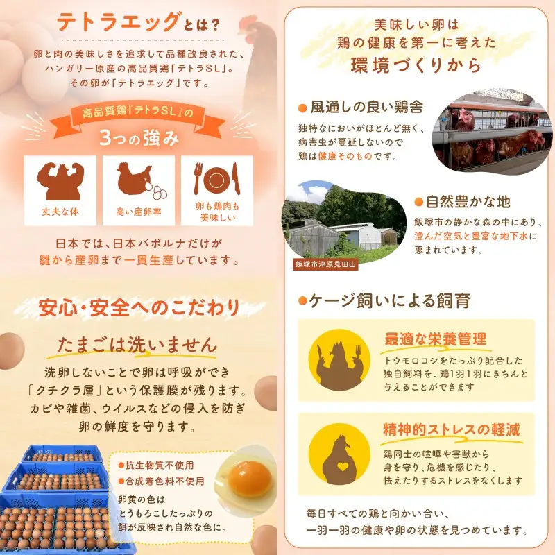 テトラエッグ特選卵『バボルナの宝石』（30個/月）【12カ月定期便】【J11-001】