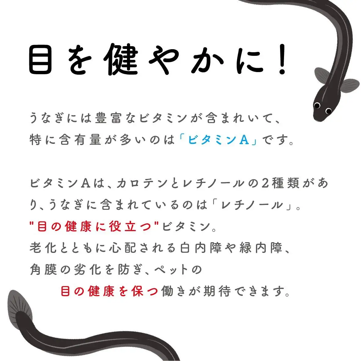 ペットフード研究所 鰻頭 1kg【087C-007】