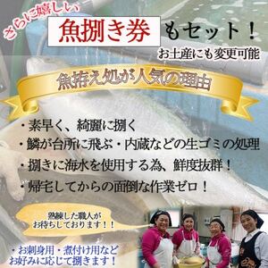 釣り船 乗船券 (50,000円分) 魚捌き利用券付き ルアー乗合・大物乗合・中物乗合・仕立船