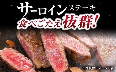 長崎和牛サーロインステーキ2枚セット 計640g / 牛肉 サーロインステーキ さーろいんすてーき サーロイン さーろいん ステーキ すてーき 小分け / 大村市 / おおむら夢ファームシュシュ[ACAA064]