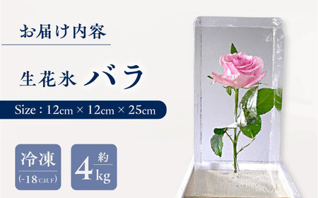 生花氷 バラ (12cm×12cm×25cm) 約4kg 氷 花 インテリア プレゼント ギフト 大村市 大村製氷[ACZN002]