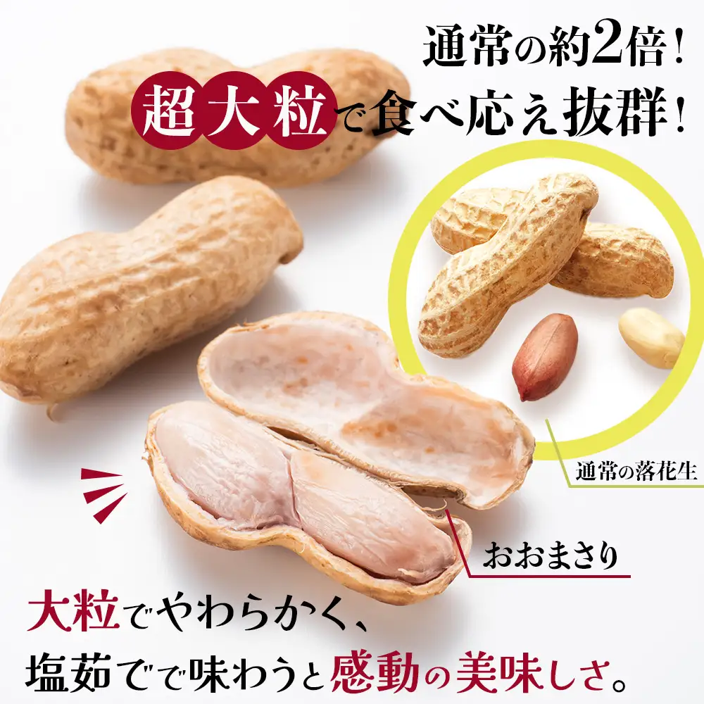 【先行予約】食べ応え抜群の大粒落花生「おおまさり」500g袋×３袋≪数量限定≫ FR-312｜鹿児島県産 野菜 やさい 食品 人気 おすすめ 送料無料 落花生 おおまさり 産地直送 新鮮 南大隅町