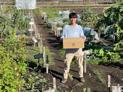 UTSUNOMIYA BASEの畑産野菜ボックス 2kg