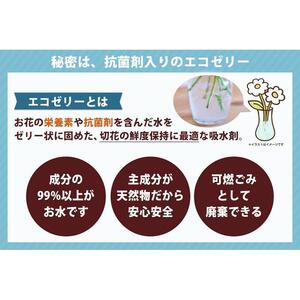 【水換え・花瓶のいらない花束】 そのままブーケ ビタミン スタンディングブーケ 生花 ギフト