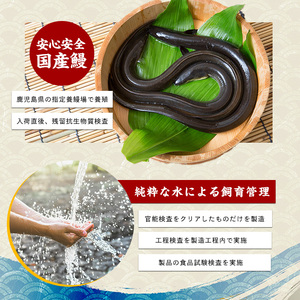 【父の日ギフト】【鹿児島県産】うなぎ蒲焼じっくり焼き約250g×2尾 木目化粧箱入り 大新 IB021-001f