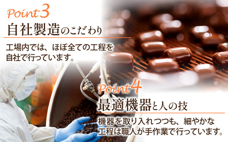 【チョコレート】クーベルチュールの割りチョコレートミックス 300g×1袋（5種） [A-127001]