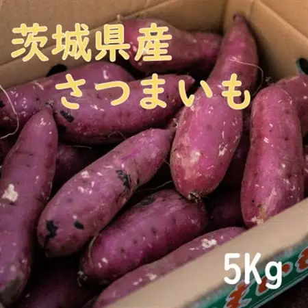 【茨城県産】生さつまいも 紅はるか 5Kg_野菜 さつまいも いも サツマイモ 薩摩芋_【1437615】