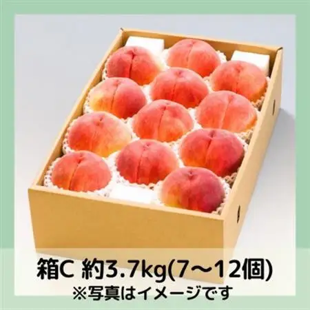 【2026年発送】山梨・萩原フルーツ農園の白桃　C (約3.7kg 7～12個)【配送不可地域：離島】【1477612】