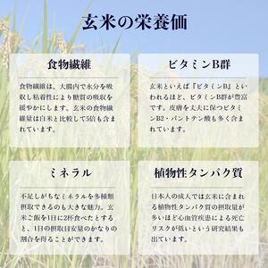 【令和7年産・玄米・真空パック・低農薬栽培】 あさひかわ産 ななつぼし玄米 3kg×8袋 脱酸素剤入 | ななつぼし _03127
