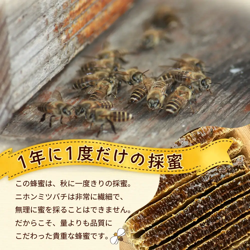 《数量限定》化粧箱入り！国産 百花はちみつ 【日本みつばち】580g×1個 TU-001 |はちみつ ハチミツ 蜂蜜 ハニー 百花蜜 贈答用 プレゼント ギフト 天然 非加熱 希少 純粋 産地直送 鹿児島県 南大隅町 椿山ファーム