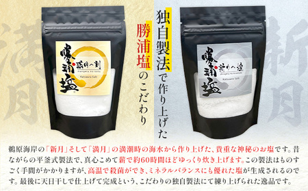 千葉県 勝浦市 満月の刻 100g と 新月の煌 100g 各5袋 セット 【配送不可地域あり】 《90日以内に出荷予定(土日祝除く)》 塩 勝浦塩 調味料