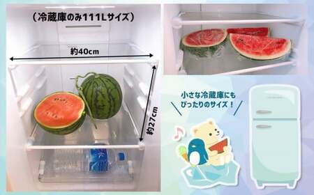 【4月～6月発送】 スイカ 王国 熊本 ！ 小玉 すいか 2玉 熊本県産 果物  西瓜 フルーツ | 果物 くだもの フルーツ スイカ 小玉 スイカ 熊本 玉名