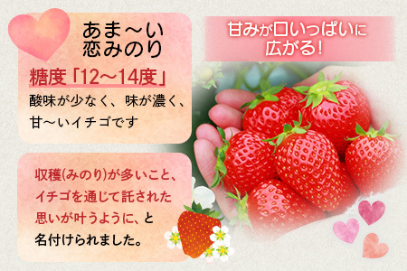 【先行予約】熊本県産いちご 恋みのり 約260g×2パック 103-0003
