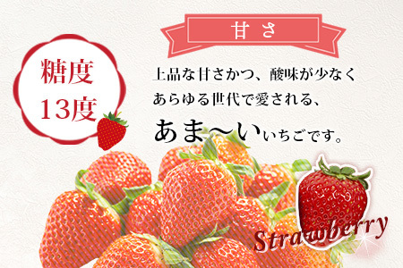 熊本県産いちご ひのしずく 約260g×4パック103-0006