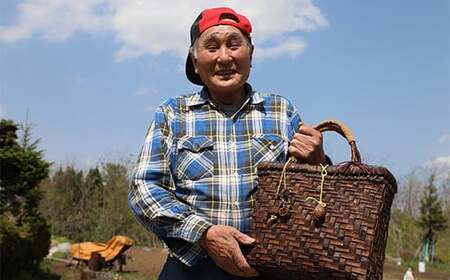 木地師手作り 純国産 くるみかごバック 【松尾 清常】 ／ くるみかご バック かごバック 篭バック クルミかご A4サイズ収納可 皮細工 伝統工芸 手作り 手づくり ハンドメイド  胡桃 クルミ くるみ 篭 かご カゴ バック バッグ チャーム付き チャーム