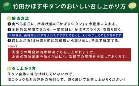 【13営業日以内発送】もつ鍋(こってり味噌) 4～5人前 ＆ 竹田かぼす 厚切り 牛タン 250g×2、王道 厚切り 牛タン 250g×2