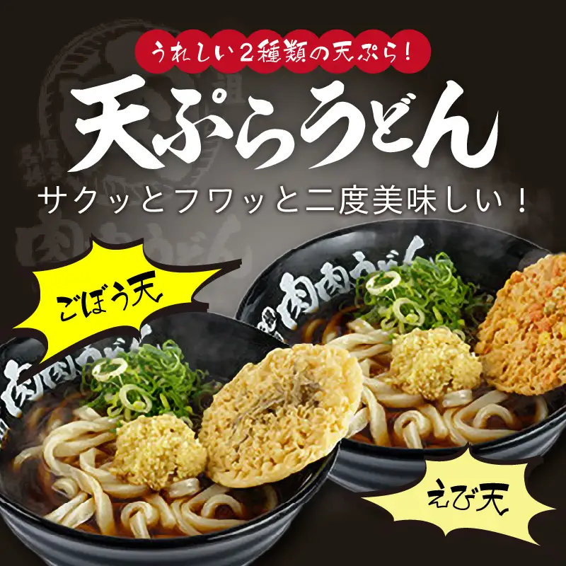 冷凍 肉肉うどん２食・天ぷらうどん２食・黒カレーうどん１食 バラエティセット【A5-460】