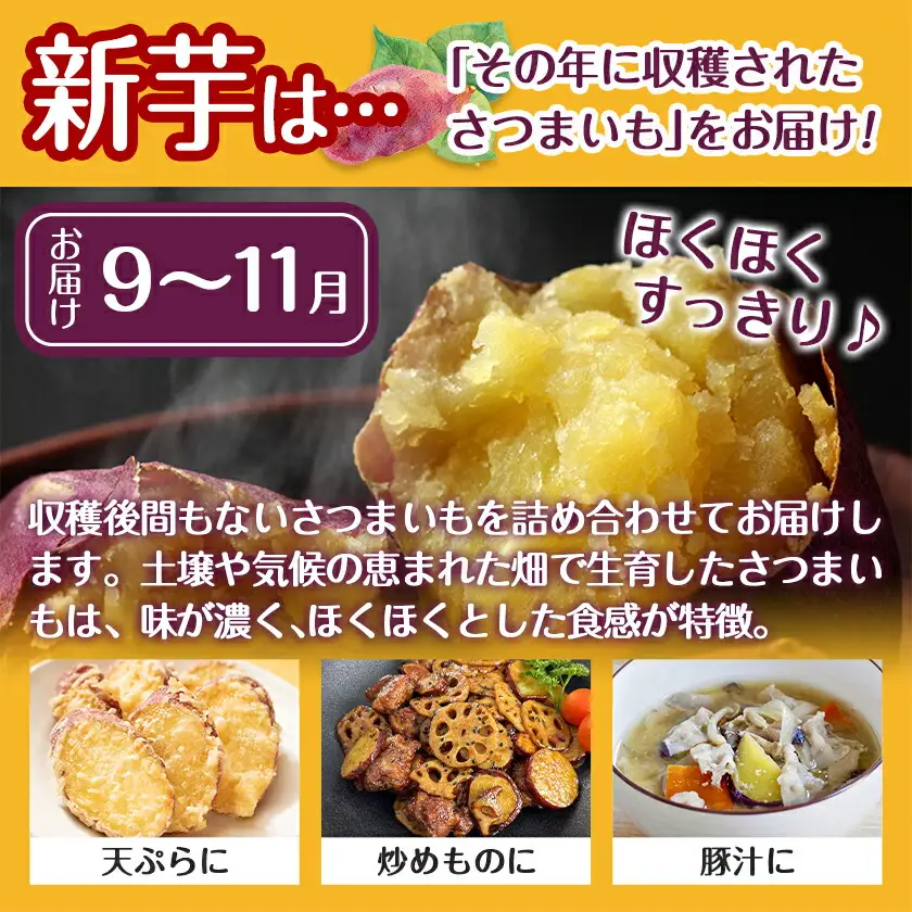 【新芋】芋名人が認めるさつまいも『洗い済み　紅はるか』5.2kg MSサイズ ※9月～11月頃順次発送〔LE-L704-N〕_(都城市) 宮崎県都城産 紅はるか MSサイズ