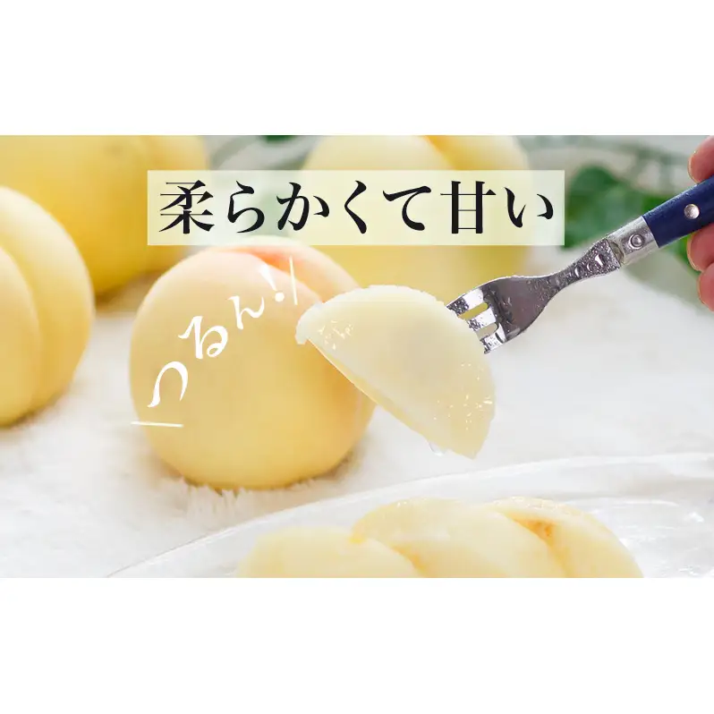 桃 ぶどう 2026年 先行予約 果物 詰合せ 白桃 2玉（1玉220g以上）ニューピオーネ 2房（1房480g以上）化粧箱入り もも 葡萄 岡山県産 国産 フルーツ 果物 ギフト 