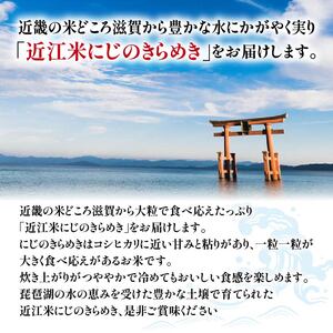 令和7年産 米 白米 10kg にじのきらめき 5kg × 2袋 精米 近江米 ニジノキラメキ 国産 お米 米 おこめ ごはん ご飯 白飯 しろめし こめ ゴハン 御飯 滋賀県産 竜王 ふるさと ランキング 人気 おすすめ